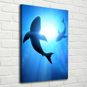 Vertikální Foto obraz na plátně Siluety žraloků ocv-69178156