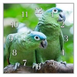 Nástěnné hodiny 30x30cm papoušek amazoňan - plexi