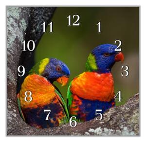 Nástěnné hodiny 30x30cm papoušek Lori mnohobarevný - plexi