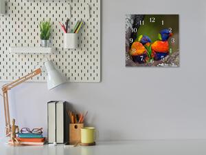 Nástěnné hodiny 30x30cm papoušek Lori mnohobarevný - plexi