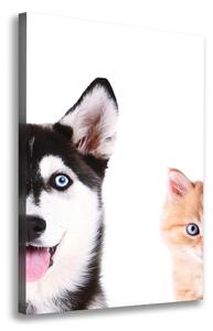 Vertikální Vertikální Foto obraz na plátně do obýváku Pes a kočka ocv-69481621