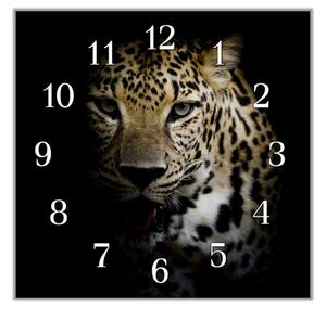 Nástěnné hodiny 30x30cm šelma leopard - plexi