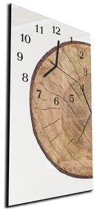 Nástěnné hodiny 30x60cm průřez kmen dřeva - plexi
