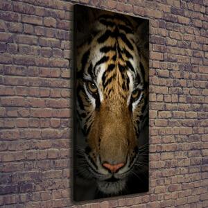Vertikální Moderní fotoobraz canvas na rámu Tygr ocv-69917271