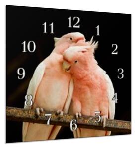 Nástěnné hodiny 30x30cm papoušek kakadu pár - plexi