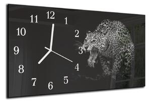 Nástěnné hodiny papoušek 30x60cm XLIX - plexi