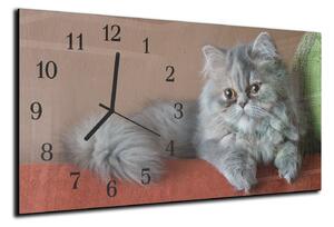 Nástěnné hodiny 30x60cm perská kočka - plexi