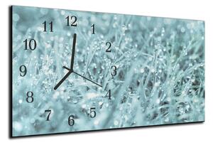 Nástěnné hodiny tráva šedozelená 30x60cm - plexi