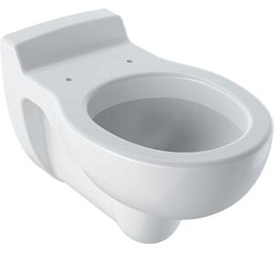 Geberit Kind - Závěsné dětské WC, 330 x 535 mm, bílá 201700000