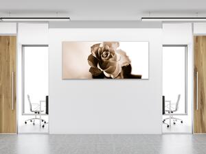 Obraz skleněný květ růže - slonová kost - 30 x 40 cm
