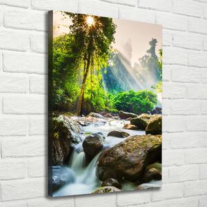 Vertikální Foto obraz na plátně Vodopád v lese ocv-71554377