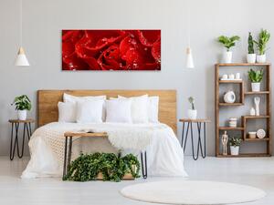 Obraz skleněný detail květu červená růže - 30 x 40 cm