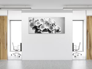 Obraz skleněný černobílá orchidej - 30 x 60 cm