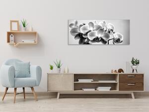 Obraz skleněný černobílá orchidej - 40 x 60 cm