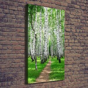 Vertikální Foto obraz canvas Břízový les ocv-72008016
