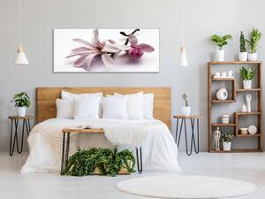 Obraz skleněný květ růžové magnolie na bílém pozadí - 30 x 40 cm