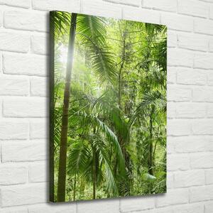 Vertikální Foto obraz na plátně Deštný prales ocv-72098525