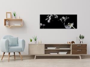 Obraz skleněný odkvetlá pampeliška a letící chmýří - 30 x 40 cm