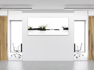 Obraz skleněný tráva a černý kámen na bílém pozadí - 30 x 40 cm