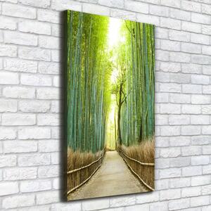 Vertikální Foto obraz na plátně Bambusový les ocv-72519653