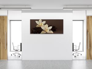 Obraz skleněný orchidej a vanilkový lusk - 30 x 60 cm