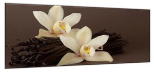 Obraz skleněný orchidej a vanilkový lusk - 30 x 40 cm