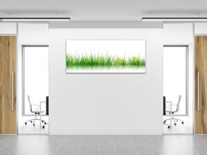 Obraz skleněný tráva s rozkvetlou pampeliškou - 30 x 60 cm