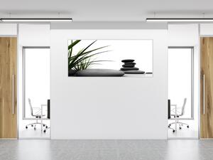 Obraz skleněný zelená tráva a šedé kameny - 30 x 60 cm