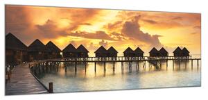 Obraz skleněný tropický západ slunce - 100 x 150 cm