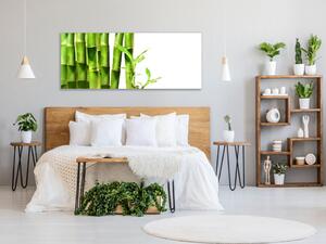 Obraz skleněný detail bambus zelený na bílém pozadí - 30 x 60 cm