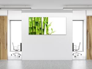 Obraz skleněný detail bambus zelený na bílém pozadí - 30 x 60 cm