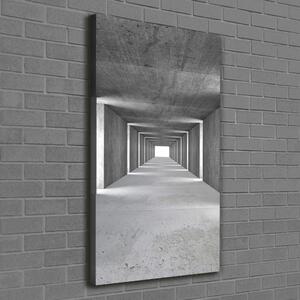 Vertikální Foto-obraz canvas na rámu Betonový tunel ocv-73367796