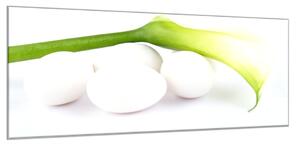 Obraz skleněný květ bílá kala a vejce - 30 x 60 cm
