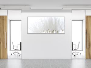 Obraz skleněný odkvetlé bílé chmýří pampelišky - 30 x 60 cm