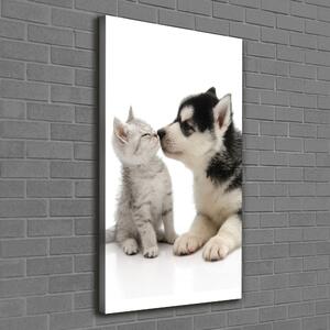 Vertikální Vertikální Foto obraz na plátně do obýváku Pes a kočka ocv-73561386