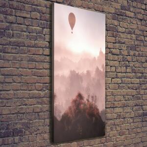 Vertikální Foto obraz na plátně Létající balon les ocv-73608942