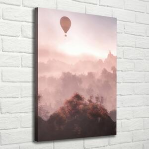 Vertikální Foto obraz na plátně Létající balon les ocv-73608942