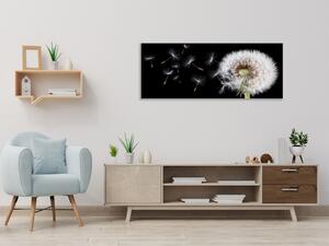 Obraz skleněný květ odkvetlá pampeliška a letící padáčky - 30 x 60 cm