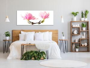 Obraz skleněný květy dvě magnolie na větvi - 30 x 60 cm