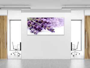 Obraz skleněný detail květ levandule na bílém podkladu - 30 x 60 cm