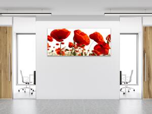 Obraz skleněný květy vlčí máky - 30 x 60 cm