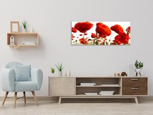 Obraz skleněný květy vlčí máky - 30 x 60 cm