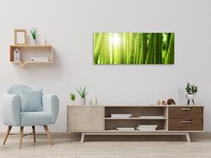 Obraz skleněný bambusový les - 30 x 60 cm