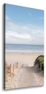 Vertikální Foto obraz na plátně Stezka na pláž ocv-74072436