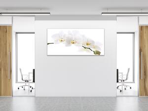 Obraz skleněný květy bílá orchidej - 30 x 60 cm