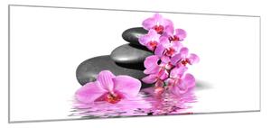 Obraz skleněný květ orchidej na kameni a hladině - 40 x 60 cm
