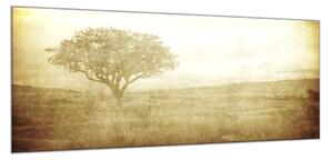 Obraz skleněný strom na plátně - 52 x 60 cm