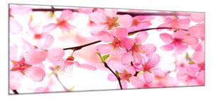 Obraz skleněný větev růžové květy - 60 x 90 cm