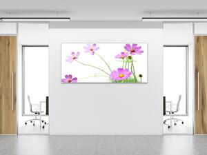 Obraz skleněný květ fialová kopretina na zelených stoncích - 70 x 100 cm