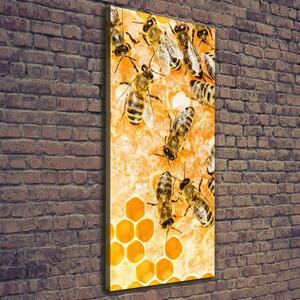 Vertikální Foto obraz na plátně Pracující včely ocv-74378590